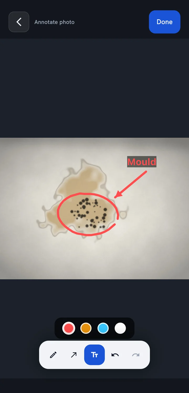 Photo mark-up screen with a red circle, an arrow and a Mould label on a damp patch